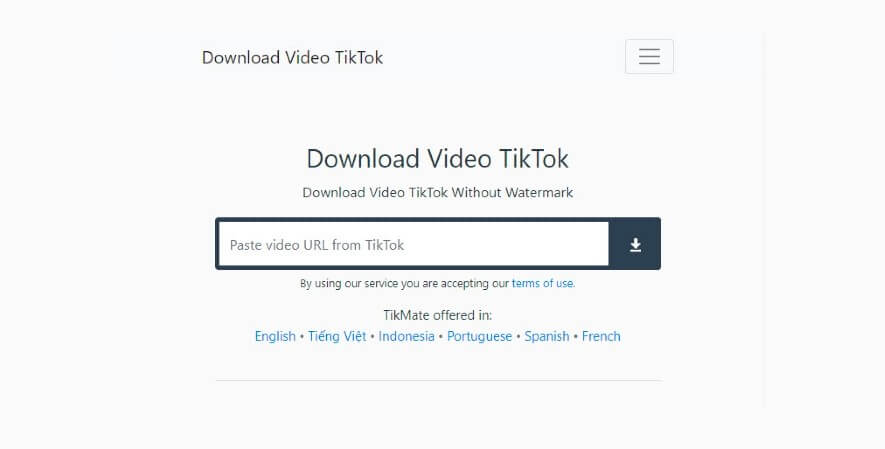 Download video is tiktok