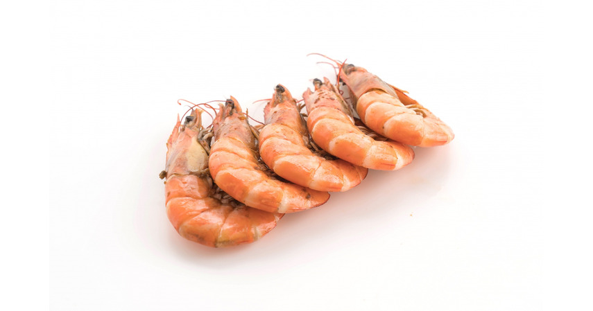 Udang